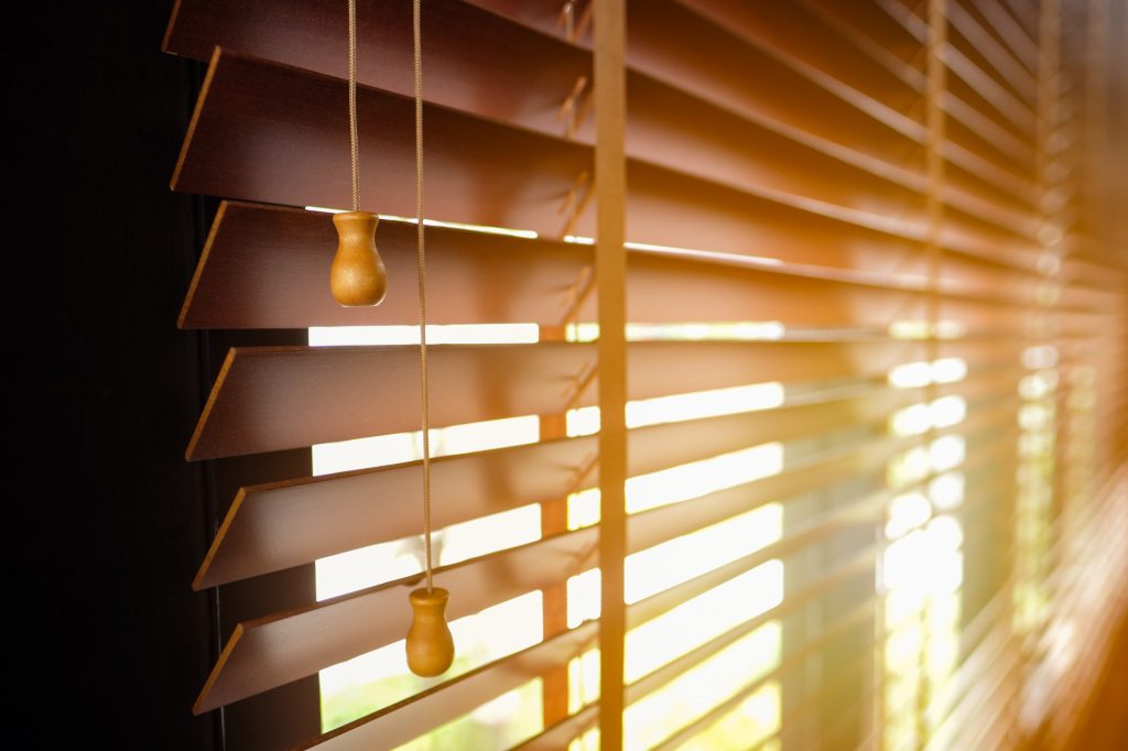 type of window blinds