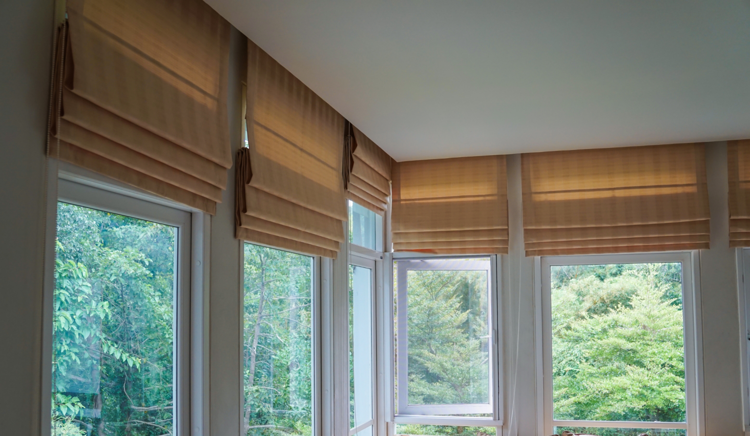 Tips on How to Choose the Right Blinds Colour Viz Blinds